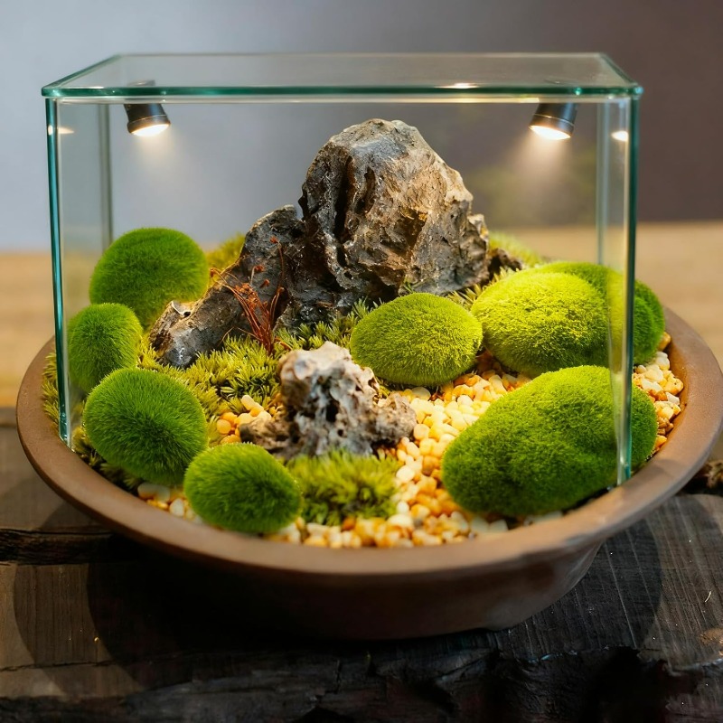 50/5 шт. Искусственные камни и – обзор и цена Terrarium Moss Art